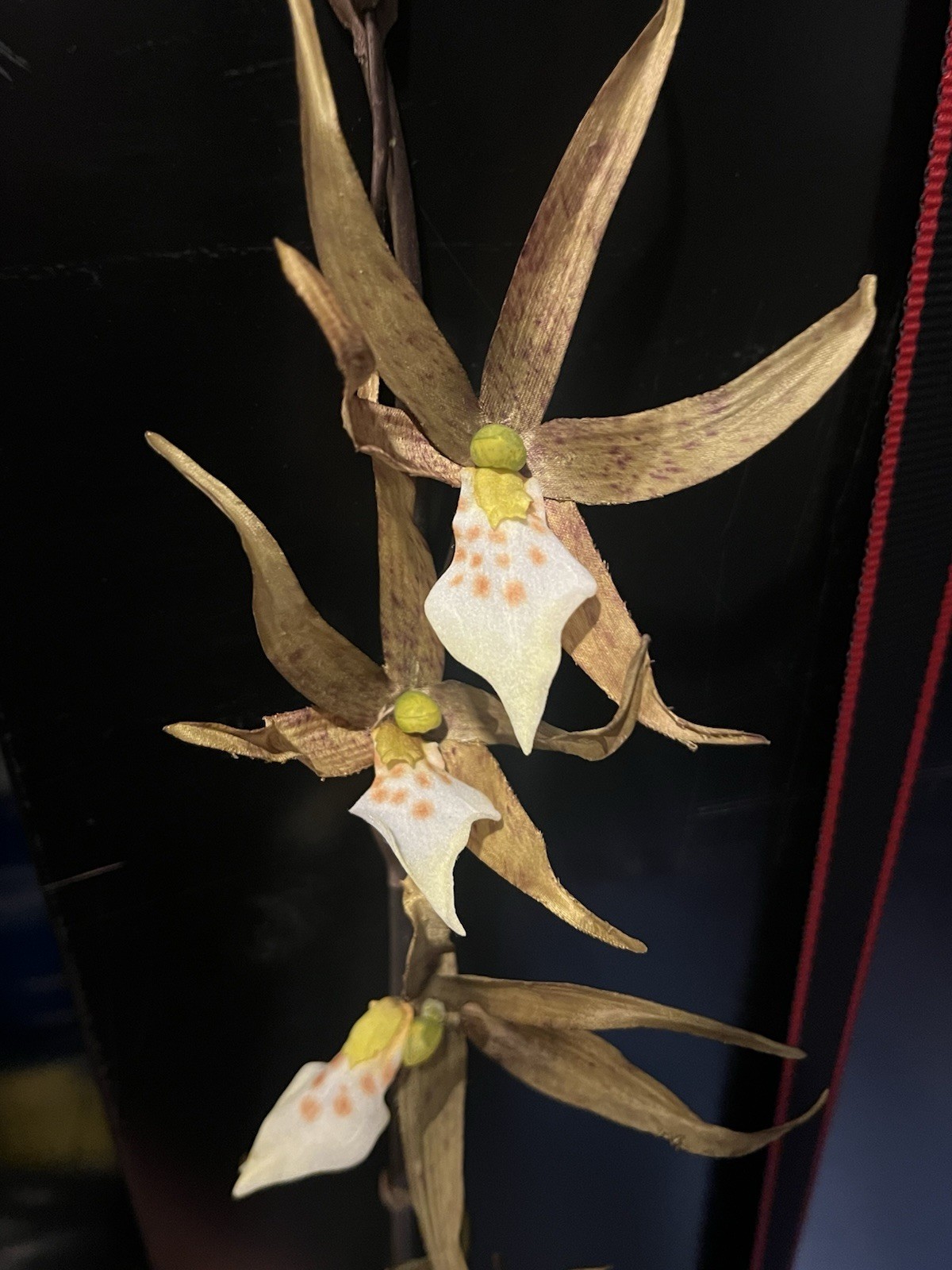 12 Stems Spider Lily Orchid 37″ Tall Green Yellow Artificial Flowers Decor