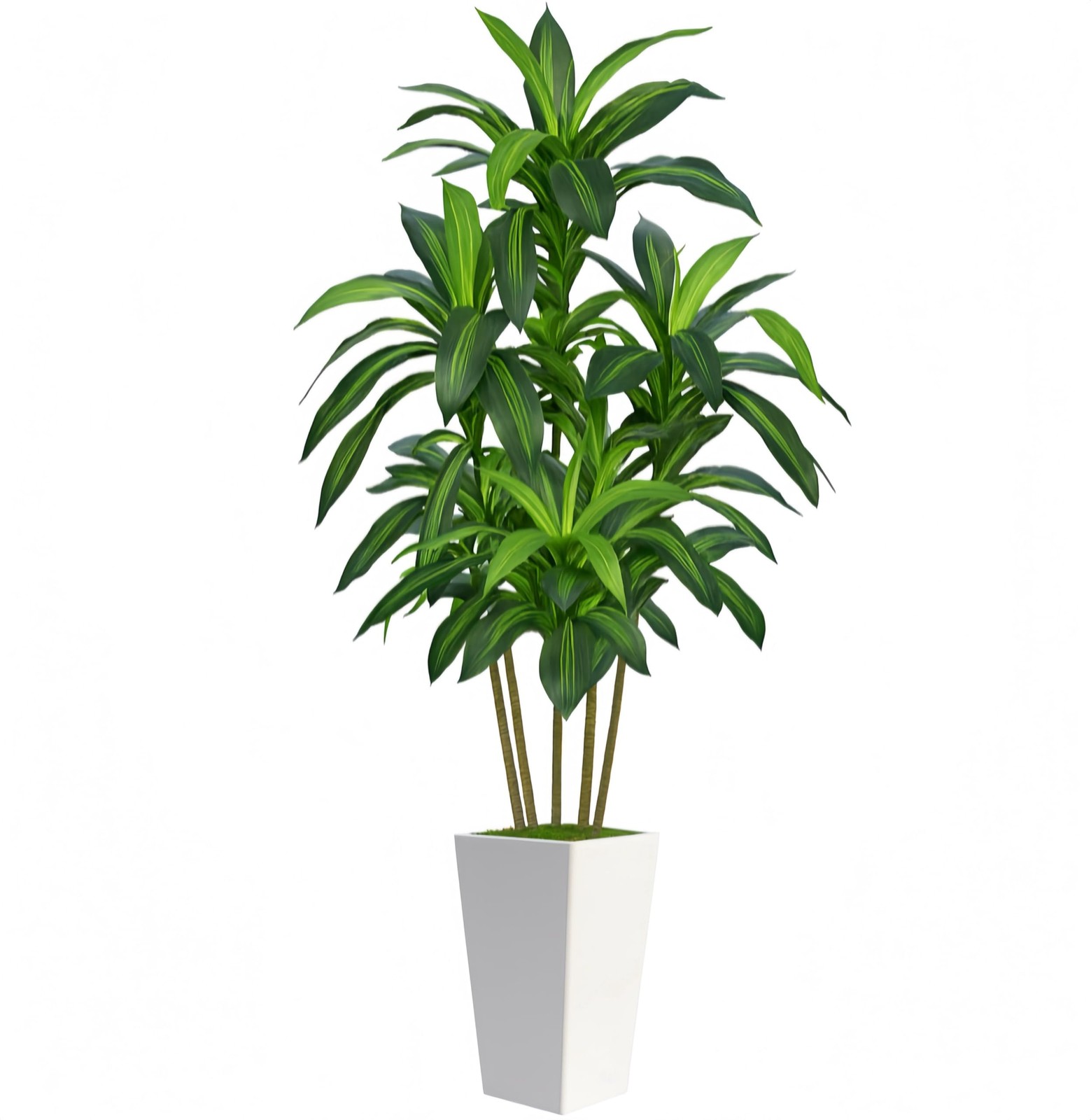 7FT Artificial Dracaena Tree, Fake Tree Indoor with White Tall 6ft, White-7ft