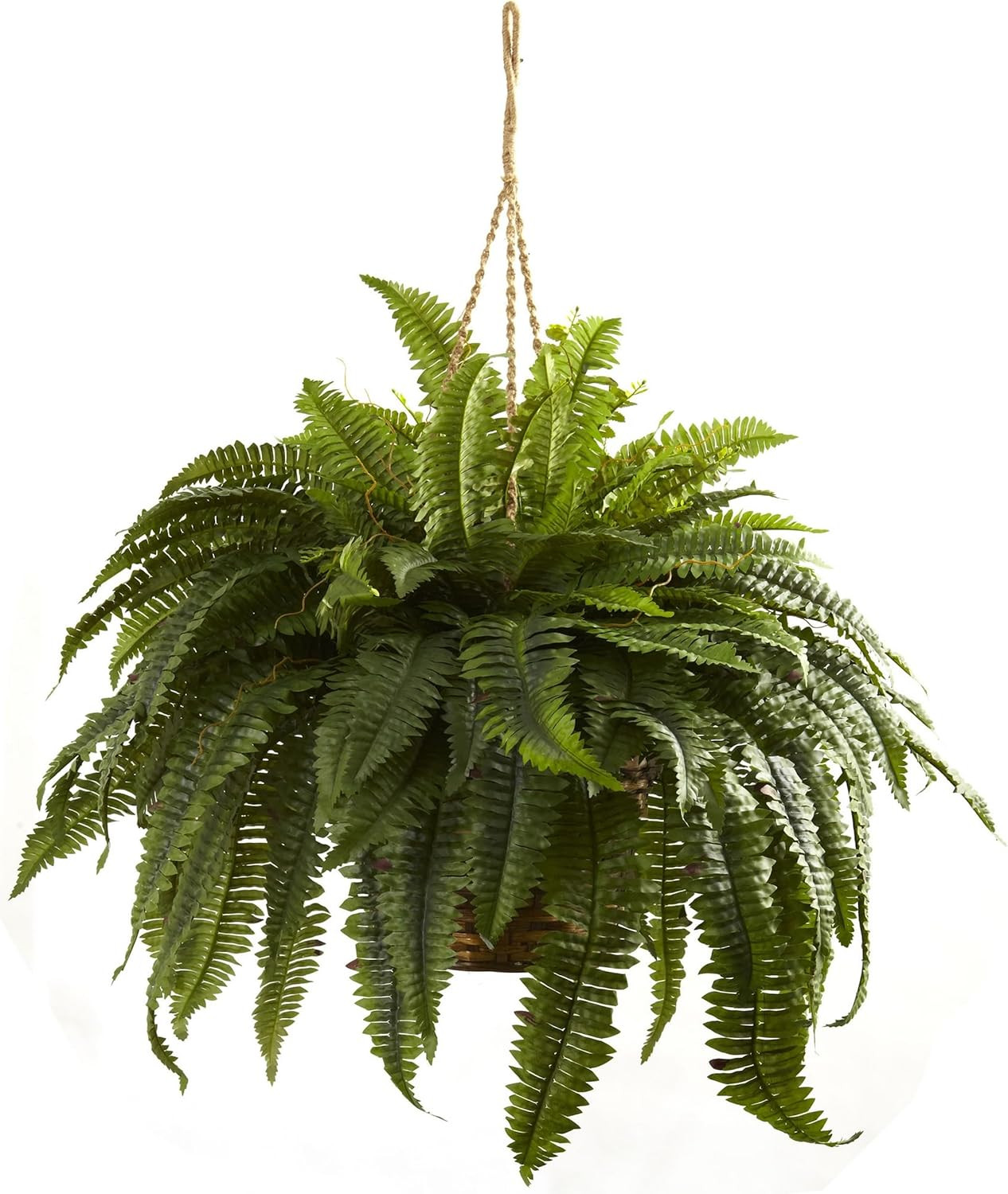 6788 Double Giant Boston Fern Hanging Basket,Green