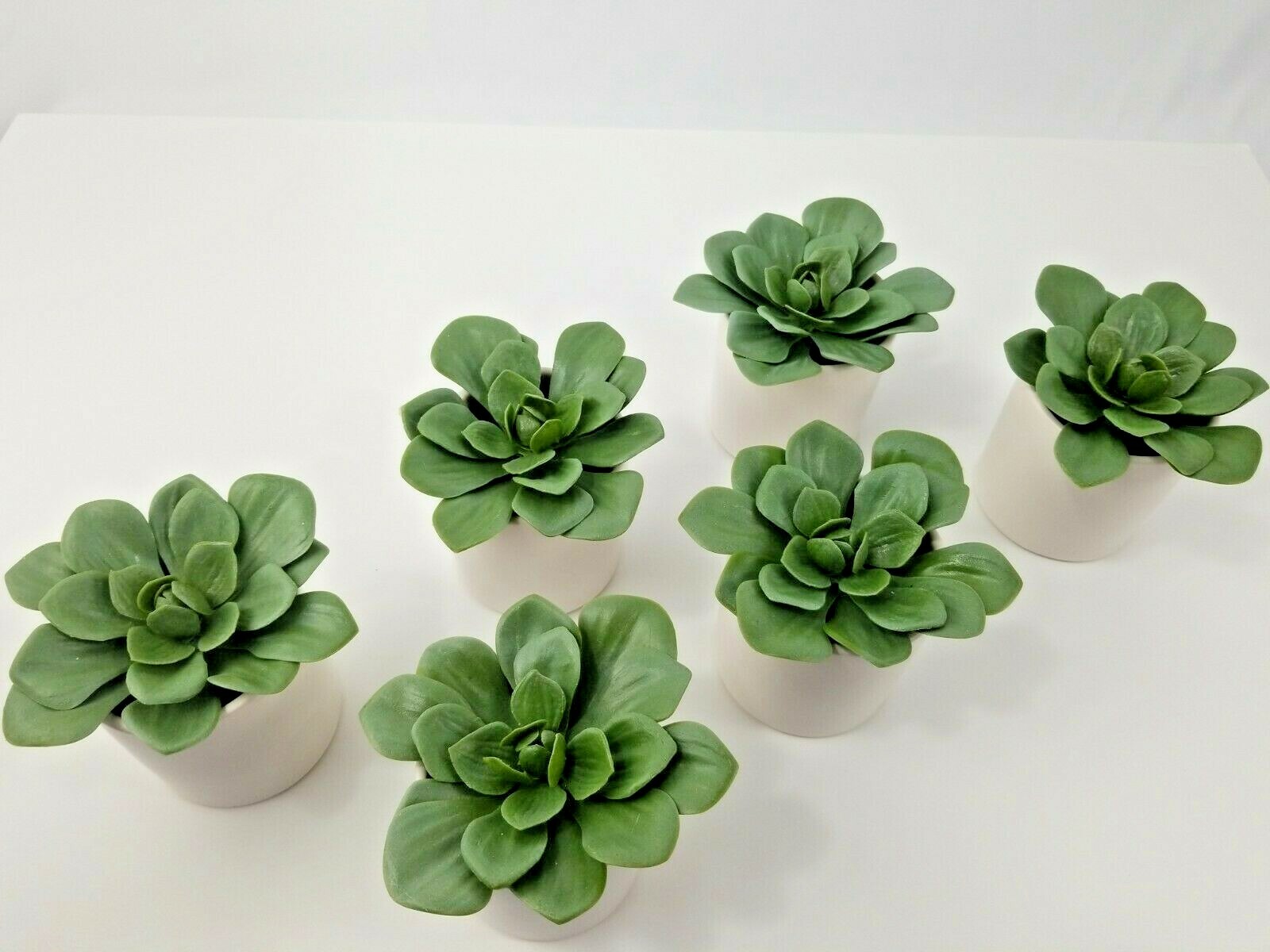 Artificial Dudleya Succulent by Project 62 In White Pot 4.5″ x 4″- LOT OF 6 New