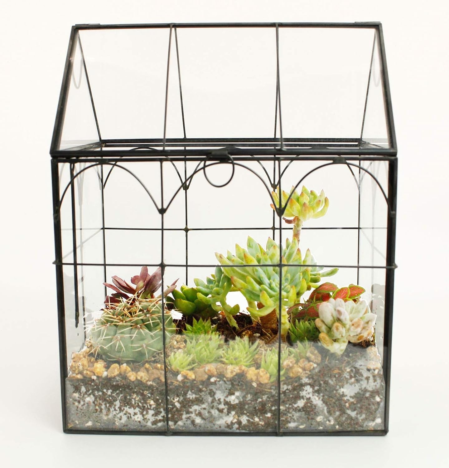 Glass House Geometric Terrarium for Plants