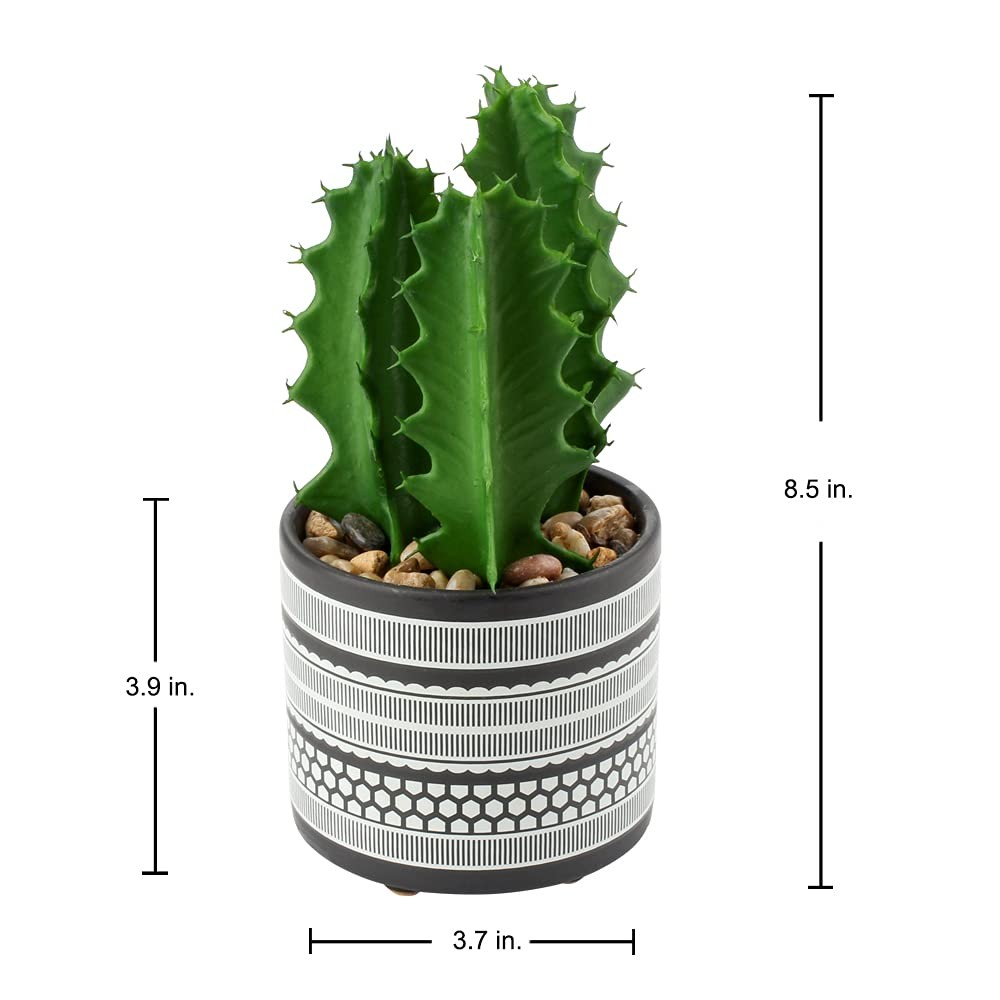 Artificial Cactus Plant Realistic Mini Faux Succulents in Pots Black Ceramic …