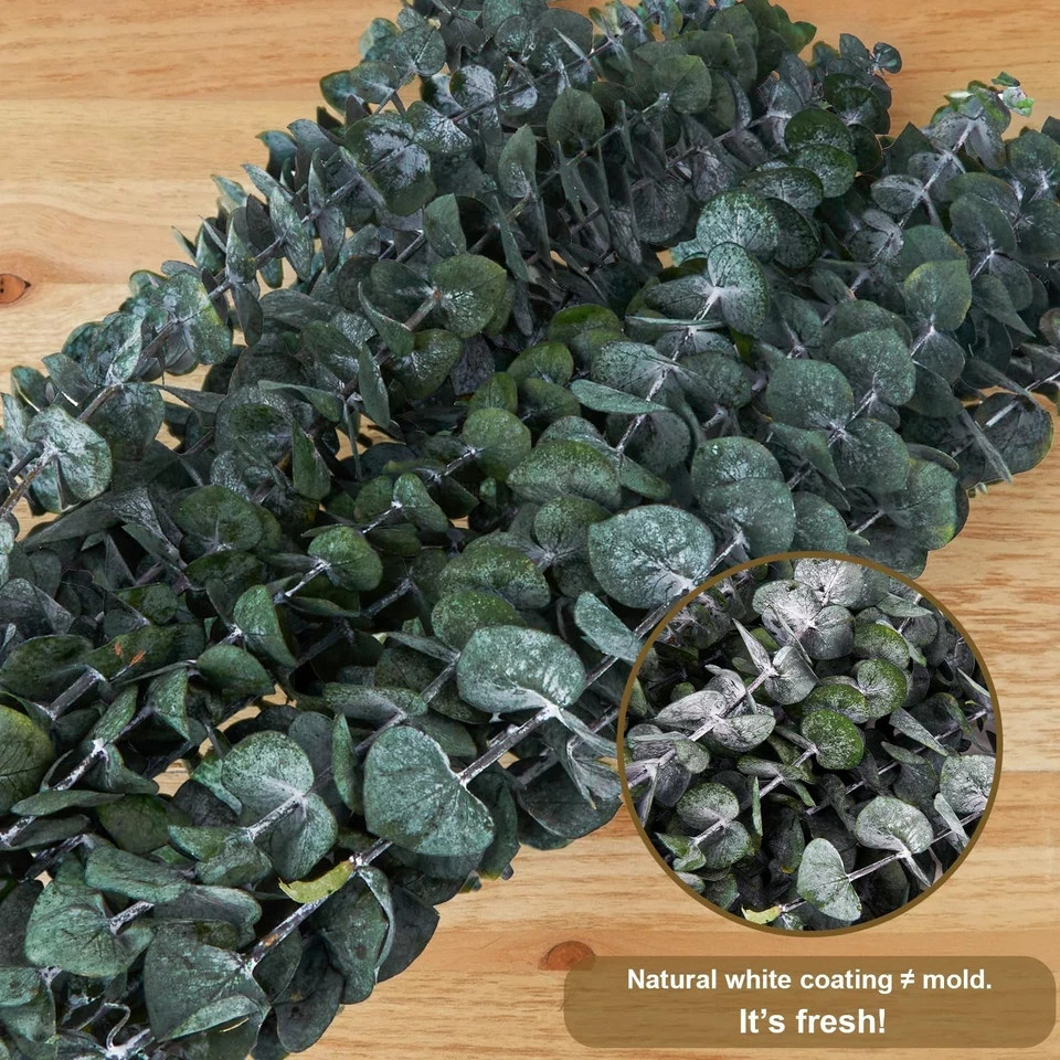 30 Pcs Dried Eucalyptus Stems for Shower, 17” Natural Fresh Real Preserved E…