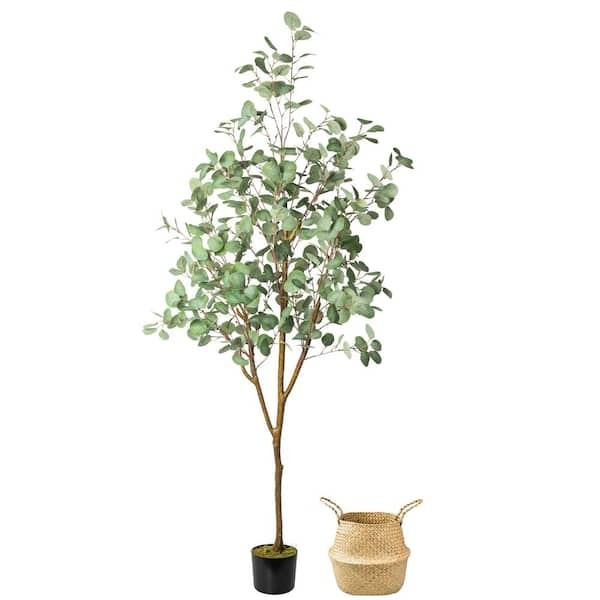 HOMLUX 71in. Eucalyptus Artificial Tree w/ Vivid Trunks in Woven Seagrass Basket
