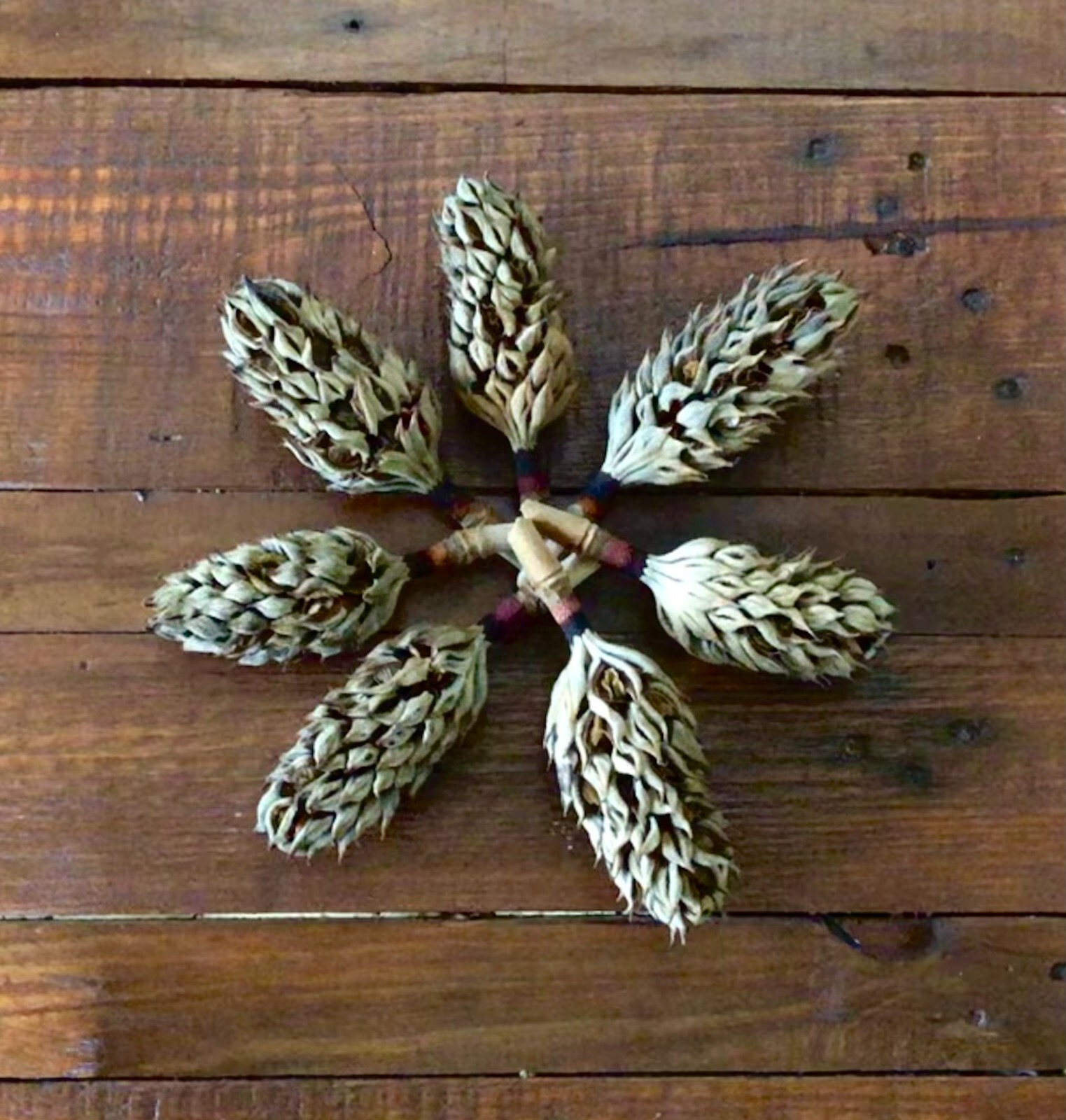Fresh Magnolia Leaves for Wedding Decor, Table Centerpiece, Wreaths