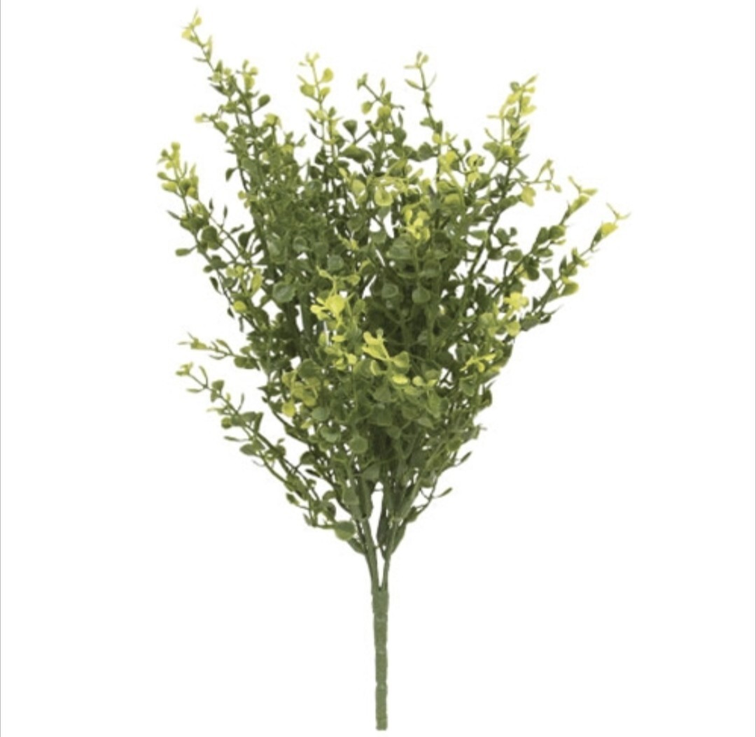 14″ Medium Green Baby’s Grass Peppergrass Floral Pick Decor Accent
