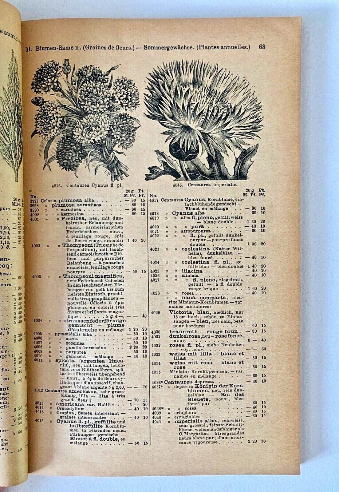 Haage & Schmidt 1903 Haupt-Verzeichniss Samen und Pflanzen –