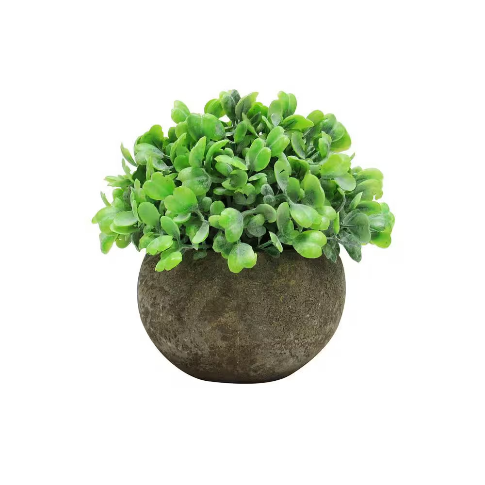 4.5 In. Frosted Green Artificial Boxwood Grass Leaf Succulent Mix Small Plant To