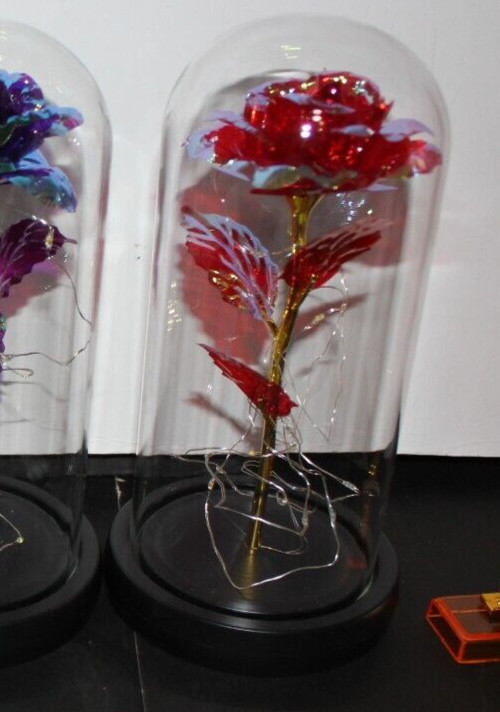 Red Eternal Rose w LED Lights in Glass Dome Mothers Valentines Anniversary Gift