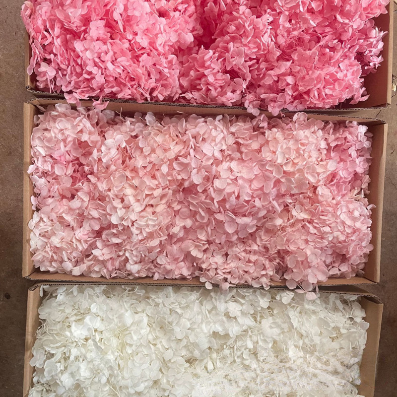 50g Bulk Dried Artificial Flowers for Gift Photograph Props Party Wedding Decor