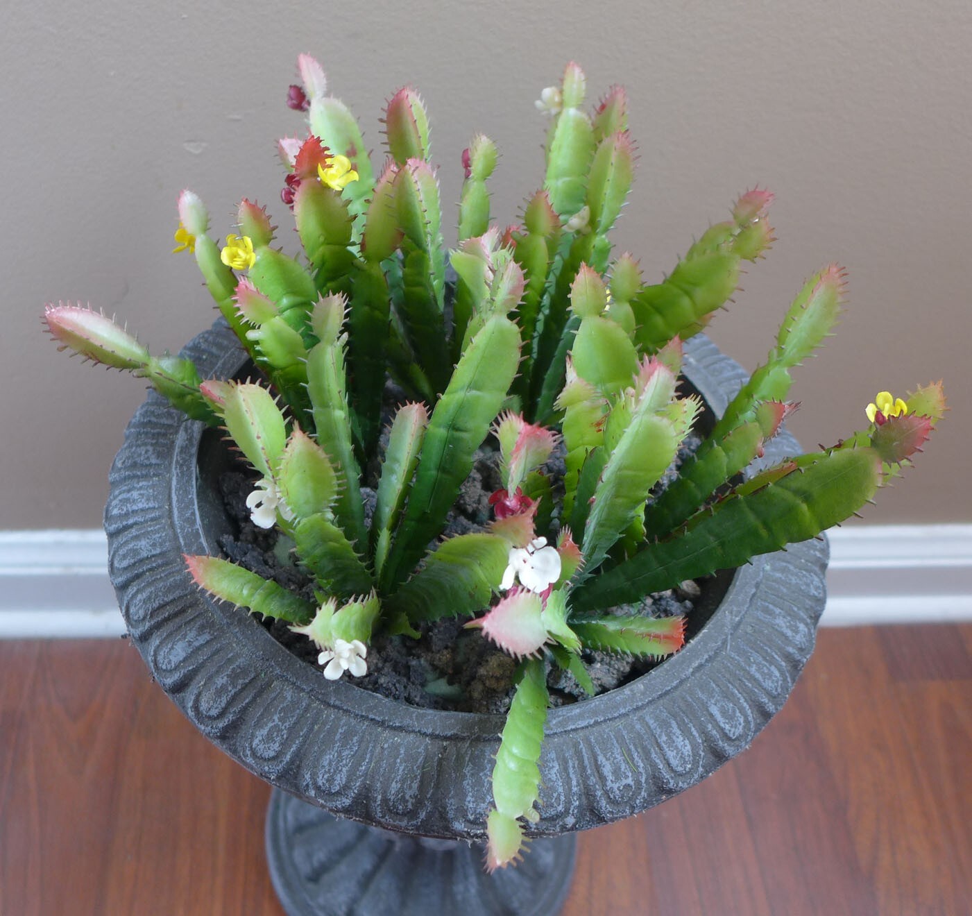 6 Pcs Artificial Blooming Cactus Succulents Grass (3 colors #140)