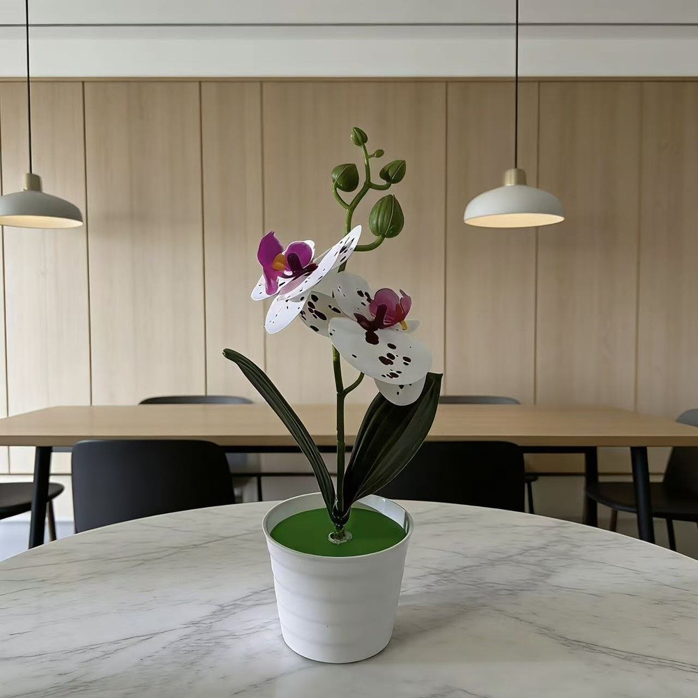 Fake Orchid Plant Phalaenopsis Type for Living Room Bedroom Study Decor Plastic