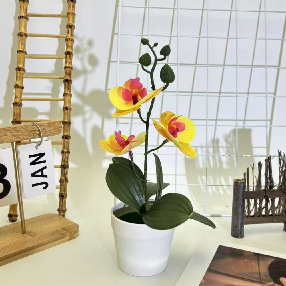 Phalaenopsis Bonsai Decorative Faux Plant Table Decoration Long-lasting Beauty
