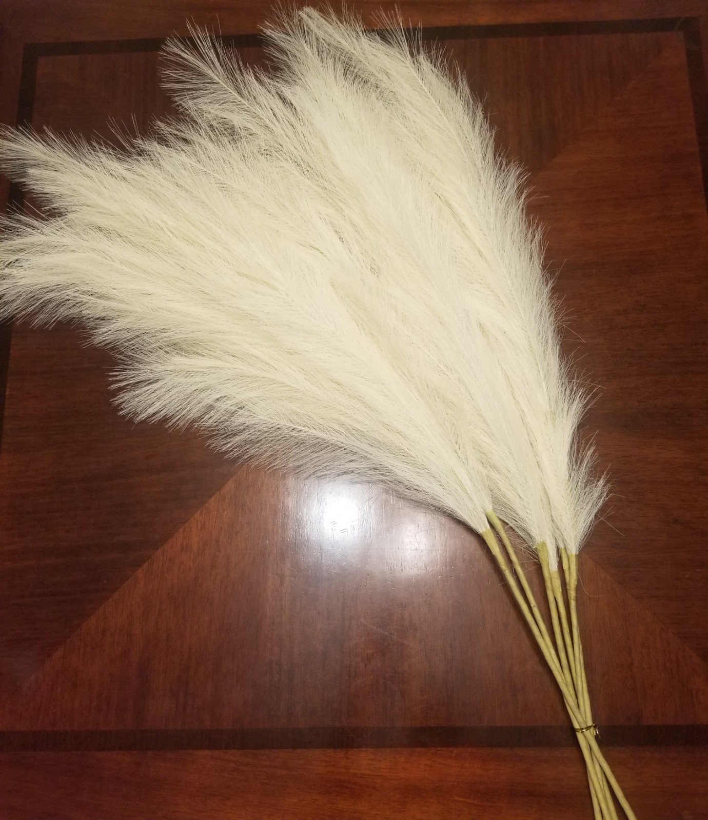 Evodis Faux Artificial Pampas Grass Beige six soft extra-large stems