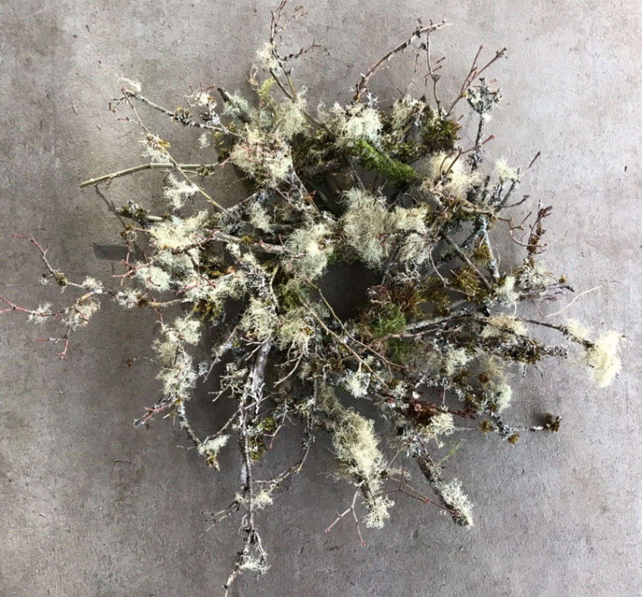 Natural Wreath Lichen Wreath Handmade Decoration Organic Wreaths Home Decor