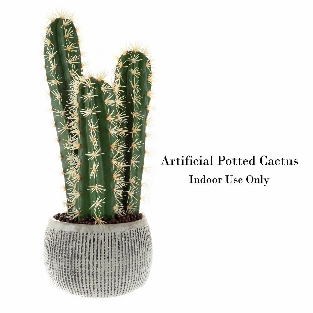 Pure Garden 22in Artificial Potted Cactus Faux Succulent Gray Clay Pot 50-LG1238