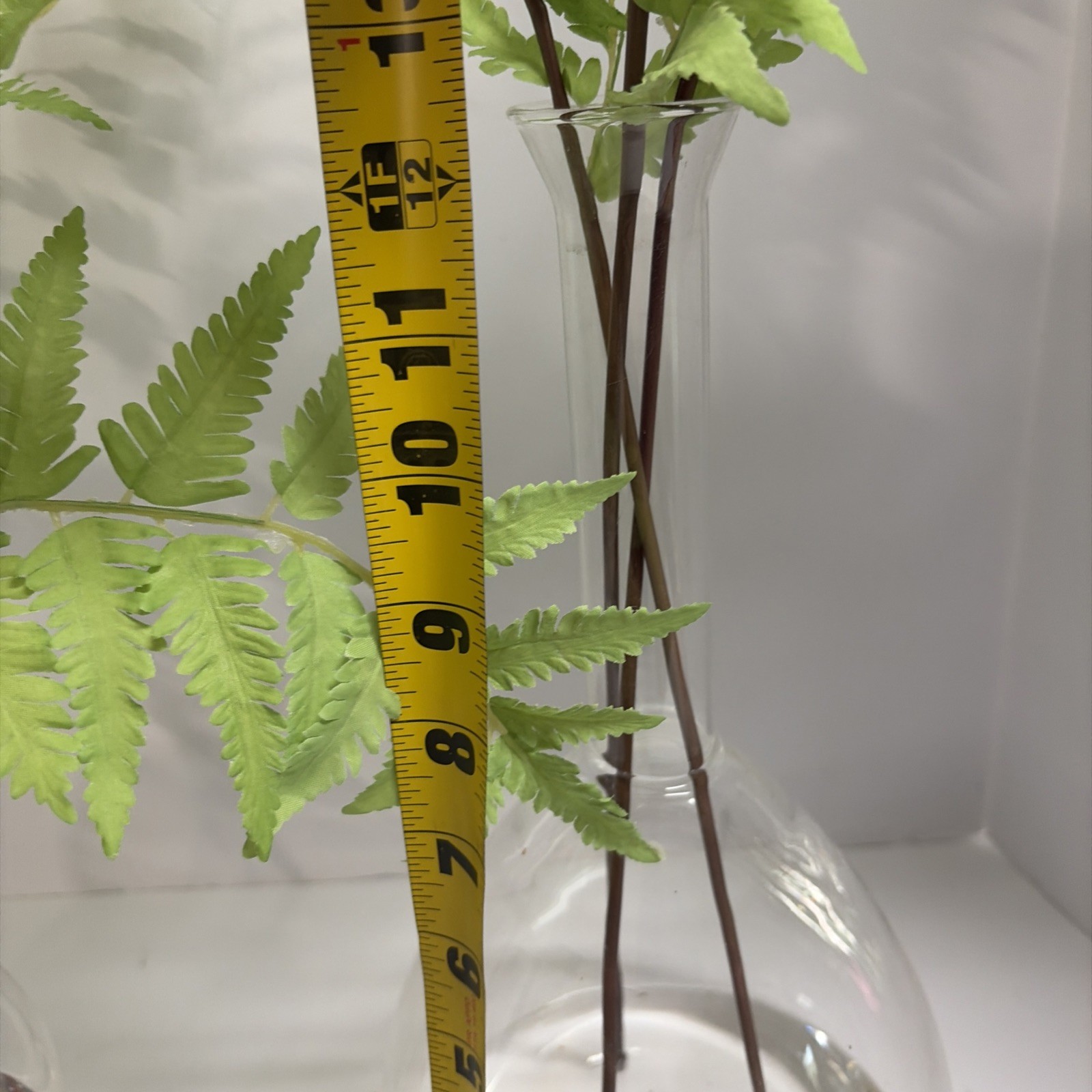 Uttermost Country Ferns and Glass Vases (Set of 2)