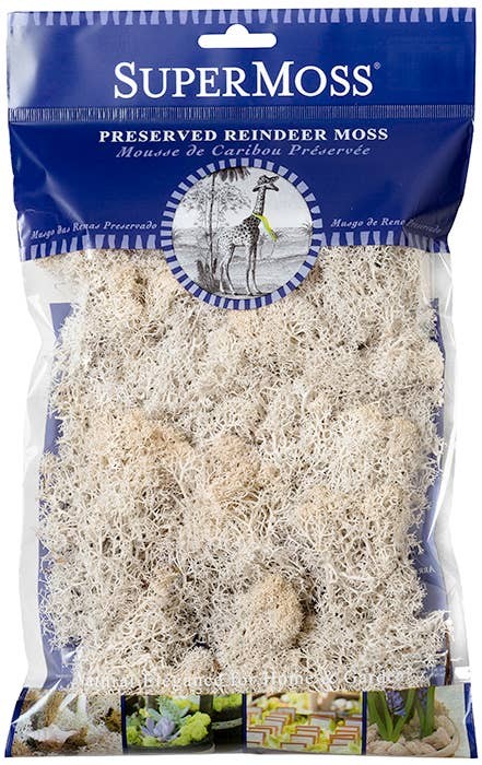 Preserved Reindeer Moss 2oz Bag | Forest, Dusty Rose, White Craft Décor