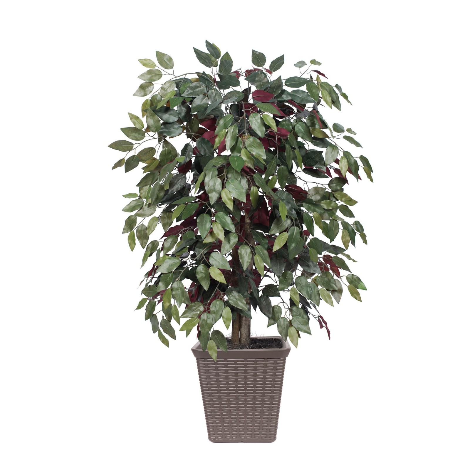 Vickerman 4′ Artificial Capensia Bush. Brown Square Plastic Basket.