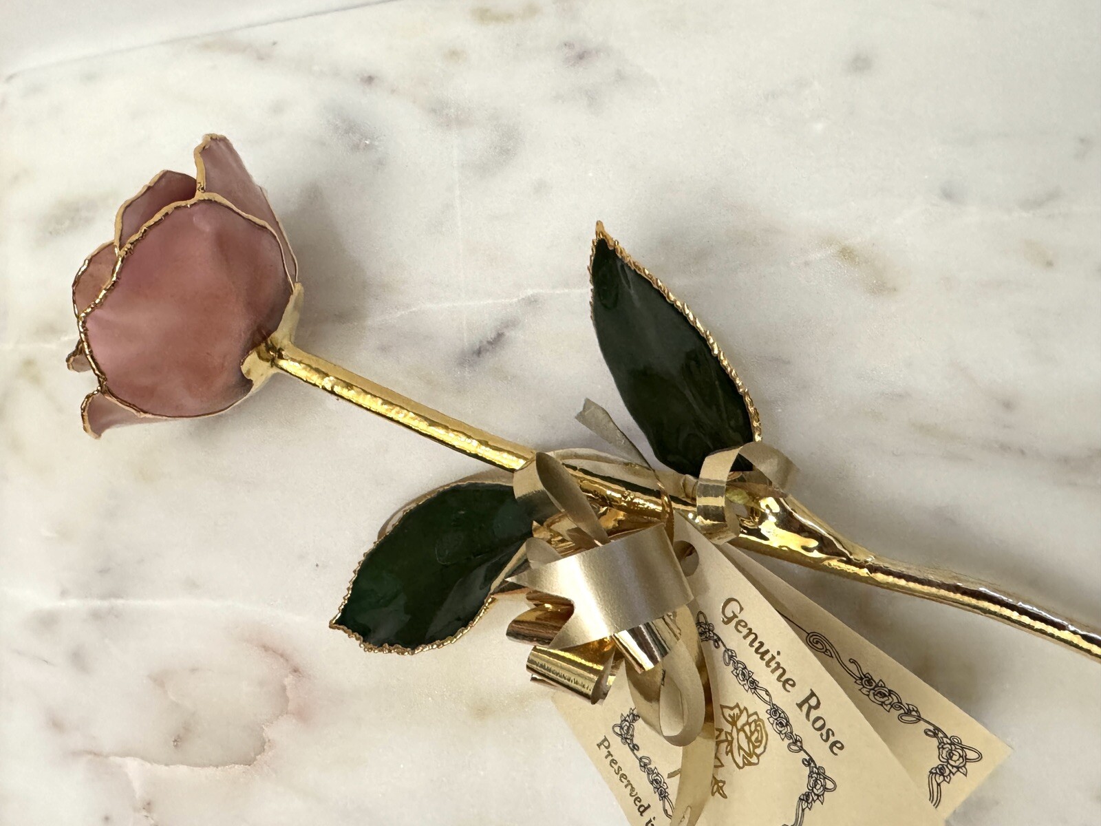 24k Gold Dipped Pink Picasso Lacquer Real Rose Valentine’s Mother’s Day Gift