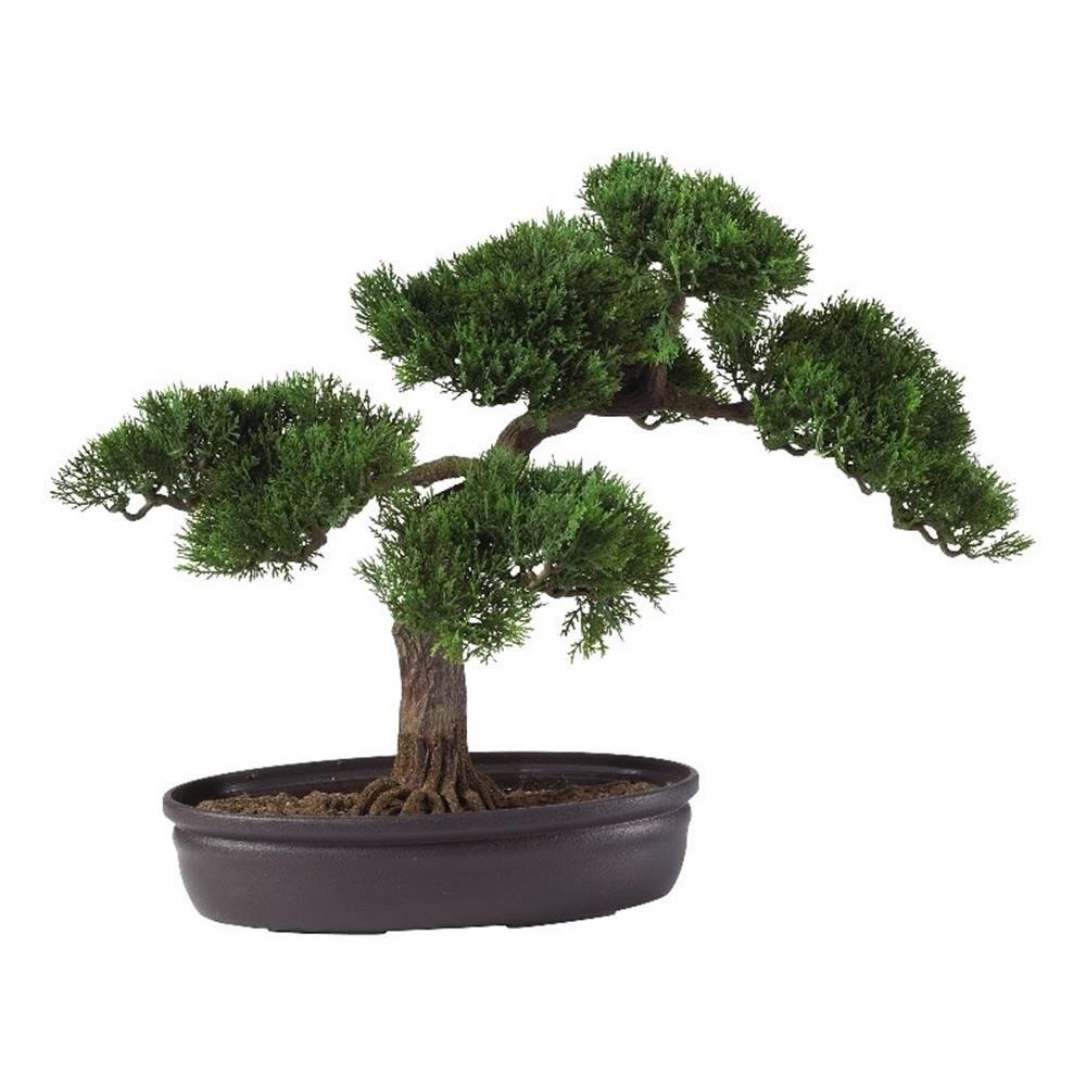 Nearly Natural 16″ Cedar Bonsai Silk Plant with Exposed Roots in Green/Black
