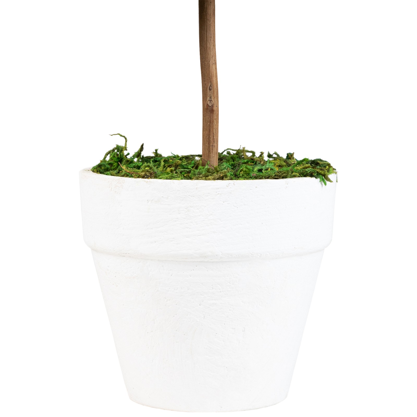 Northlight 20.5″ Green Reindeer Moss Artificial Spring Floral Topiary Tree