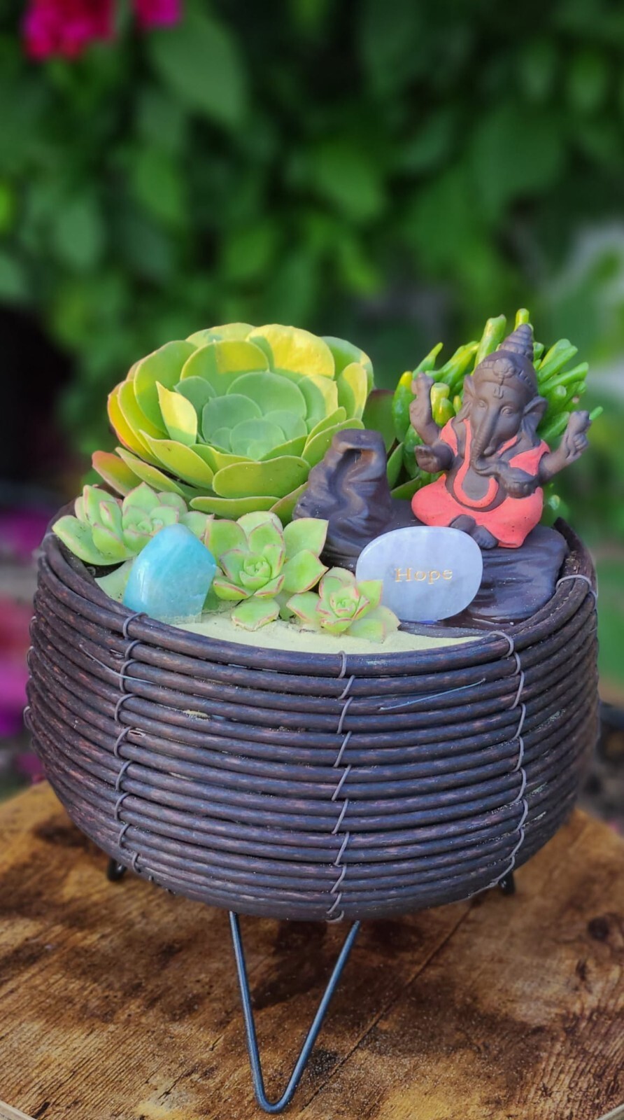 Mini Zen Garden with Natural Succulents + crystals for the Interior of the Home