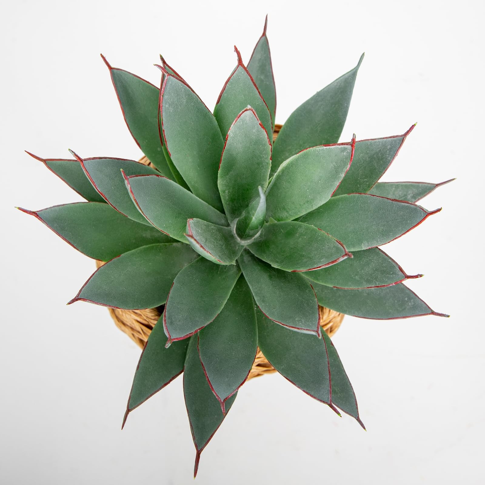 Succulents Plants Artificial for Home Decor, Realistic Potted Fake Agave Plan…