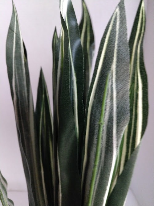 20″ Artificial dracaena bush