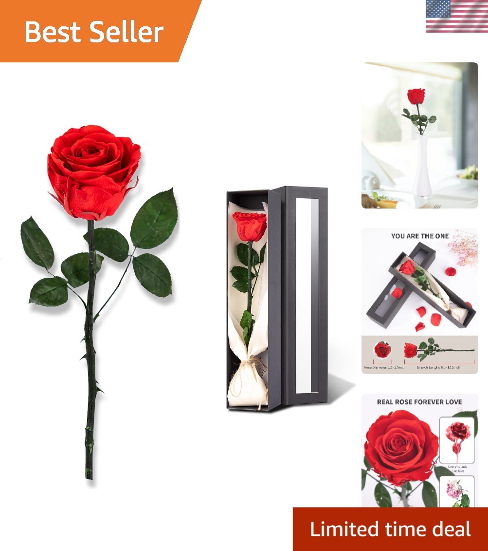Single Preserved Rose Gift – Timeless Flower Gift for Women on Special Occasions