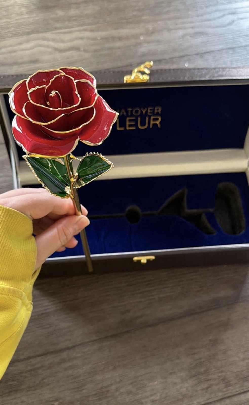 Chatoyer Fleur Forever Rose 24K Gold Dipped Red Rose w/ Luxury Gift Box V