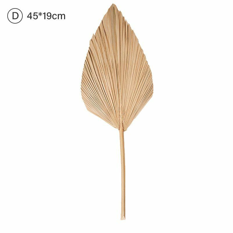 Natural Dried Flower Palm Leaf Fan Plant Party Wall Hanging Wedding Decor DIY