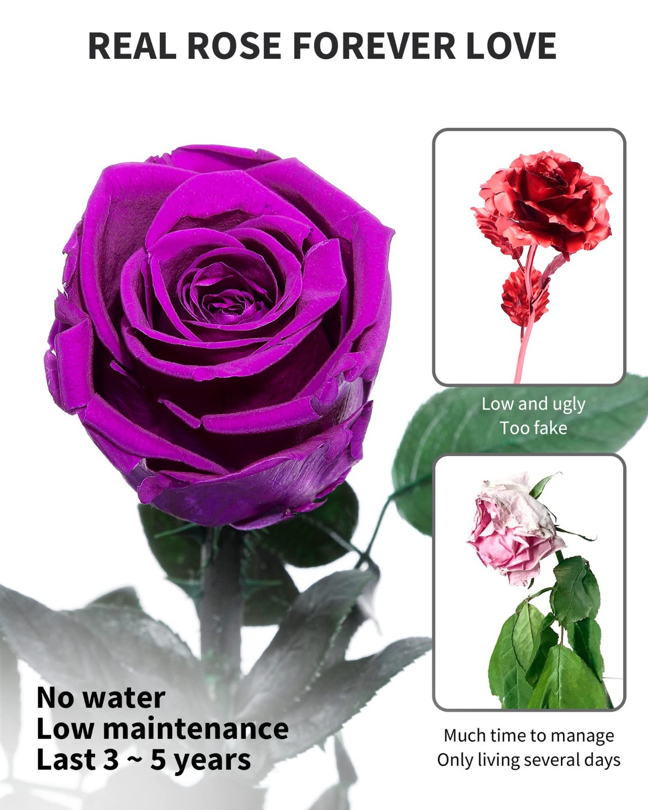 Preserved Real Rose Gift for Women, Mom Birthday Valentines Flowers