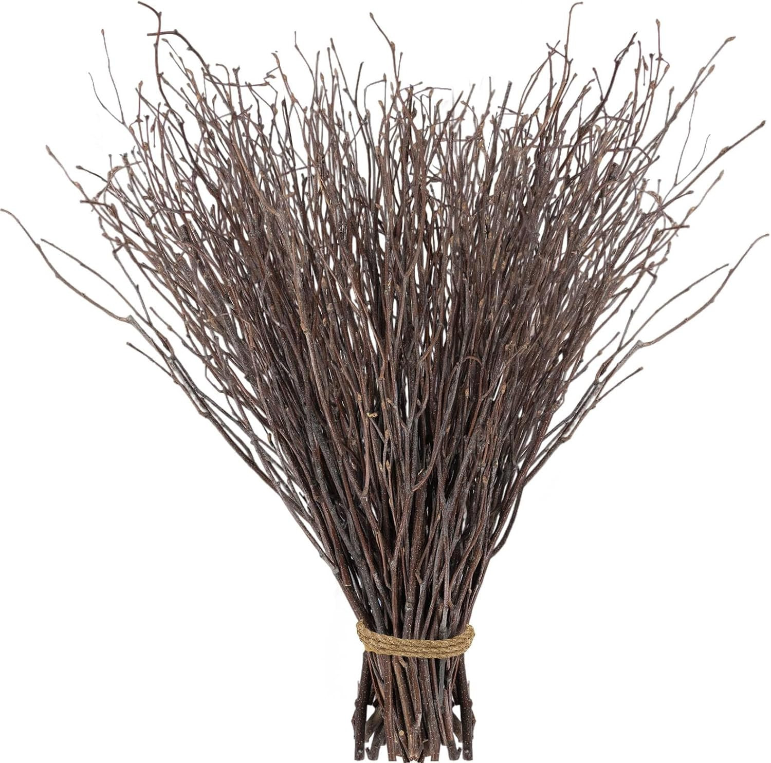 60Pcs Real Dried Birch Twigs Branches – 16” Natural Decorative Birch Branches fo