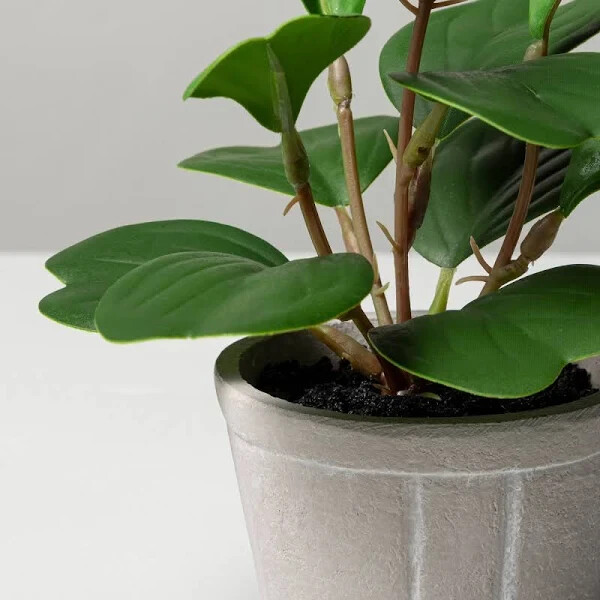 Faux Hoya Heart Potted Plant from Hearth and Hand with Magnolia *4 Pack* 7″ Mini