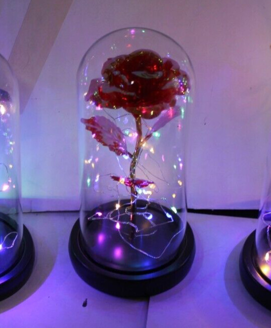 Red Eternal Rose w LED Lights in Glass Dome Mothers Valentines Anniversary Gift
