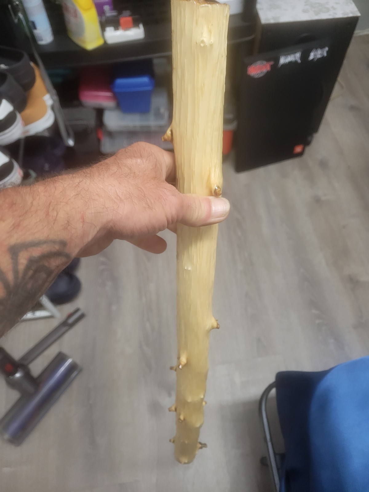 Epoxy Coated Willow Branch