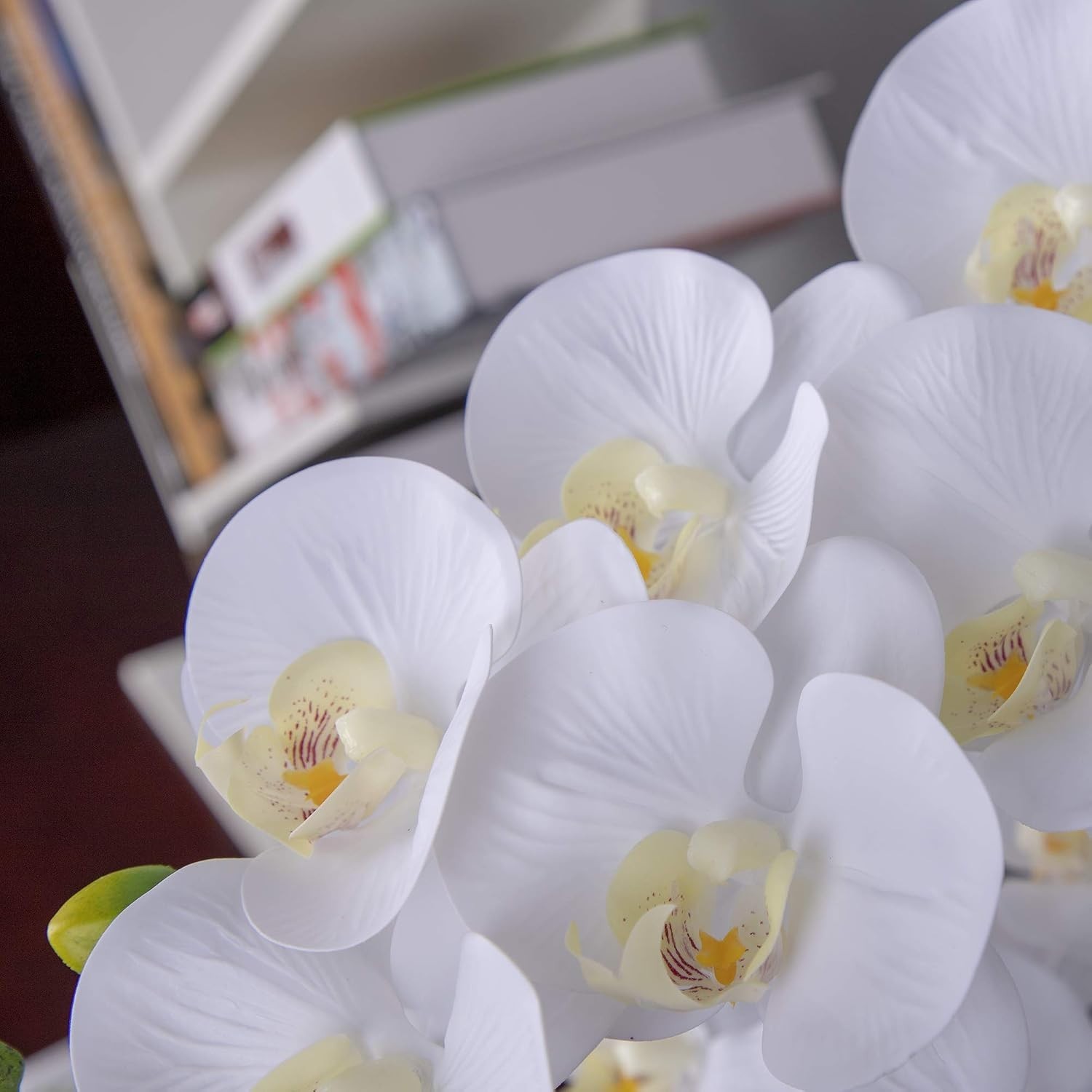 Stunning 2pcs Large White Orchid Stems – Realistic Touch for Weddings & Offices