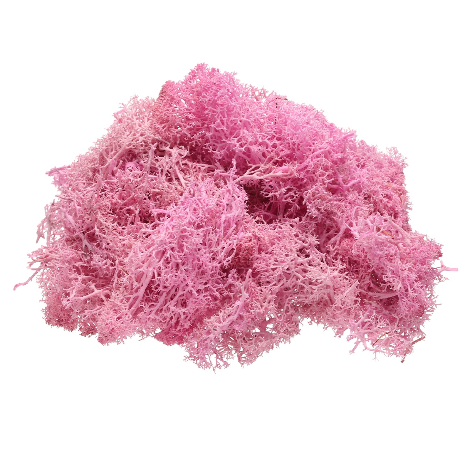 Preserved Reindeer Moss 4 OZ Fake Moss for Crafts Rose Red