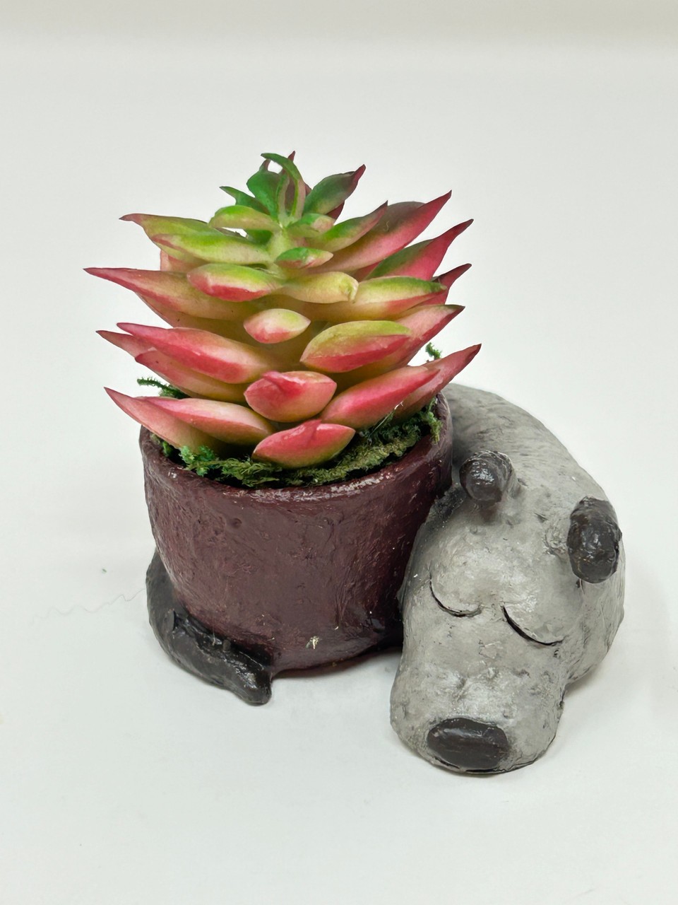 2.5″ Potted Baby SLEEPING DOG Blob House Mini pot WITH faux Red-Green Succulent