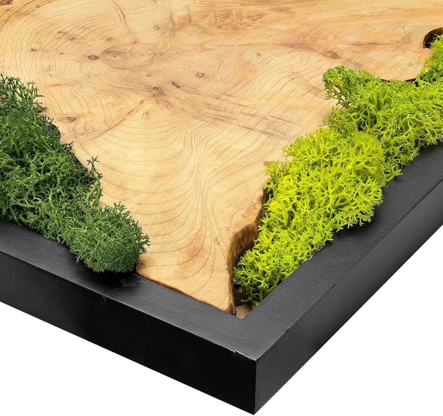 Natural Preserved Moss Wall Art – Natural moss&wood Handcrafted Rustic Charm for