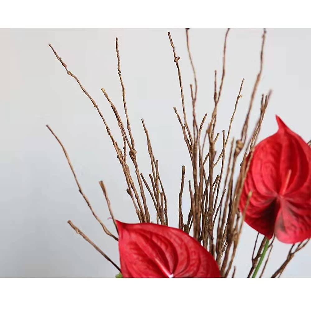 Artificial Lifelike Curly Willow Branches Decorative Dried Birch Twigs 25.9 Inch