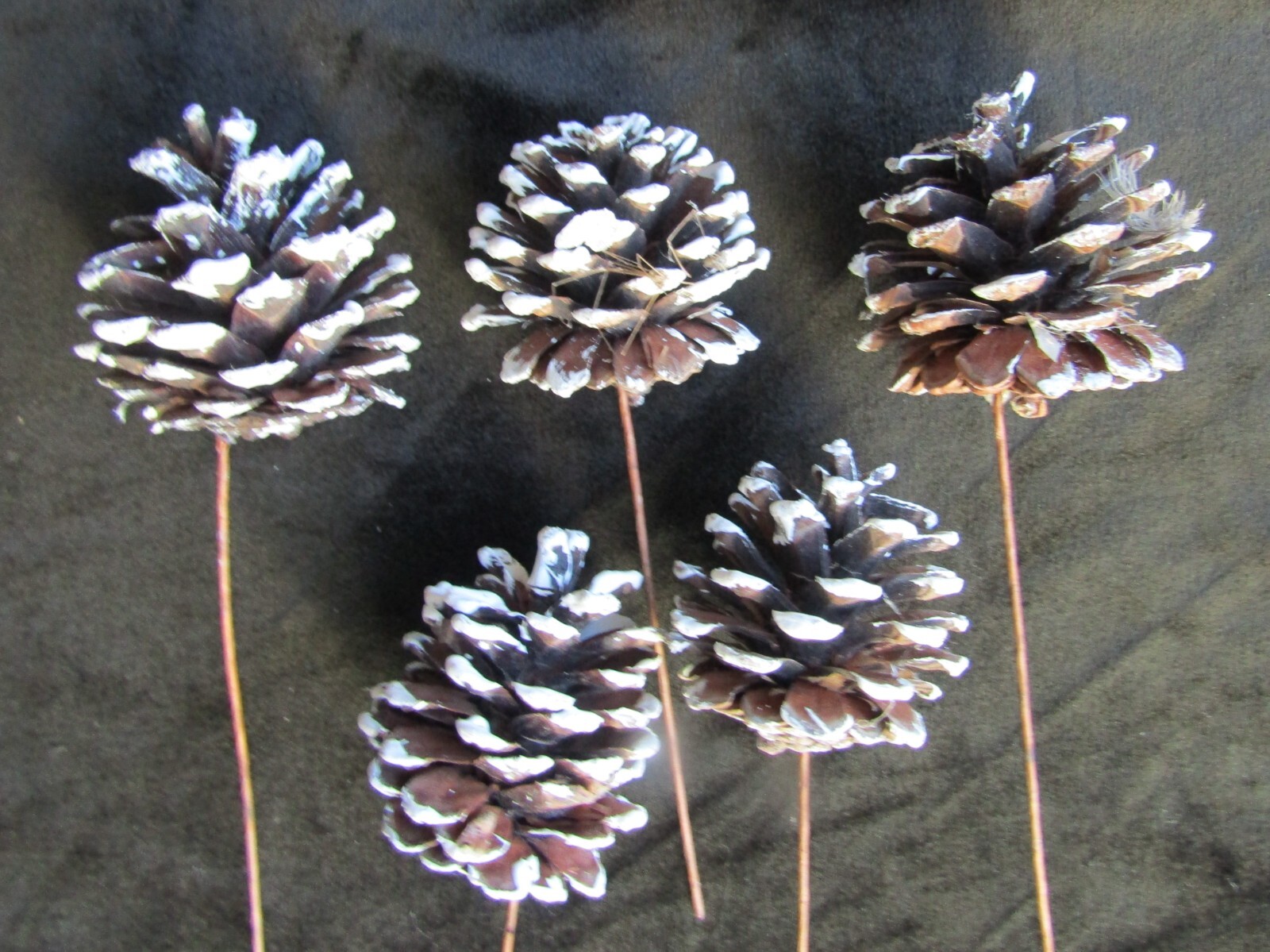 Pinecone Plant Picks Lot of 5 Vintage Christmas