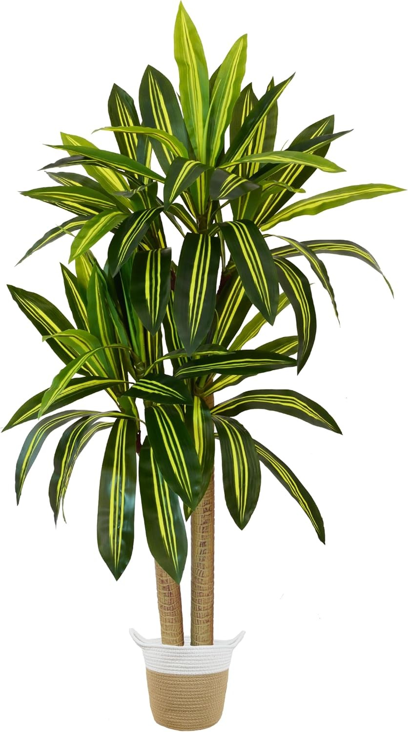 Artificial Dracaena Tree, 5ft Tall Fake Dracaena Plant with Basket, Indoor