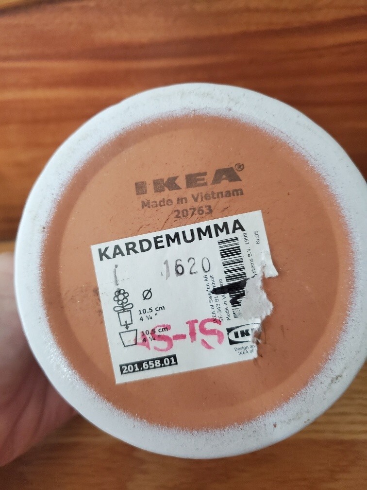 IKEA FEJKA Artificial Potted Plant + IKEA Cardemumma White Ceramic Pot 5″ x 4.5″