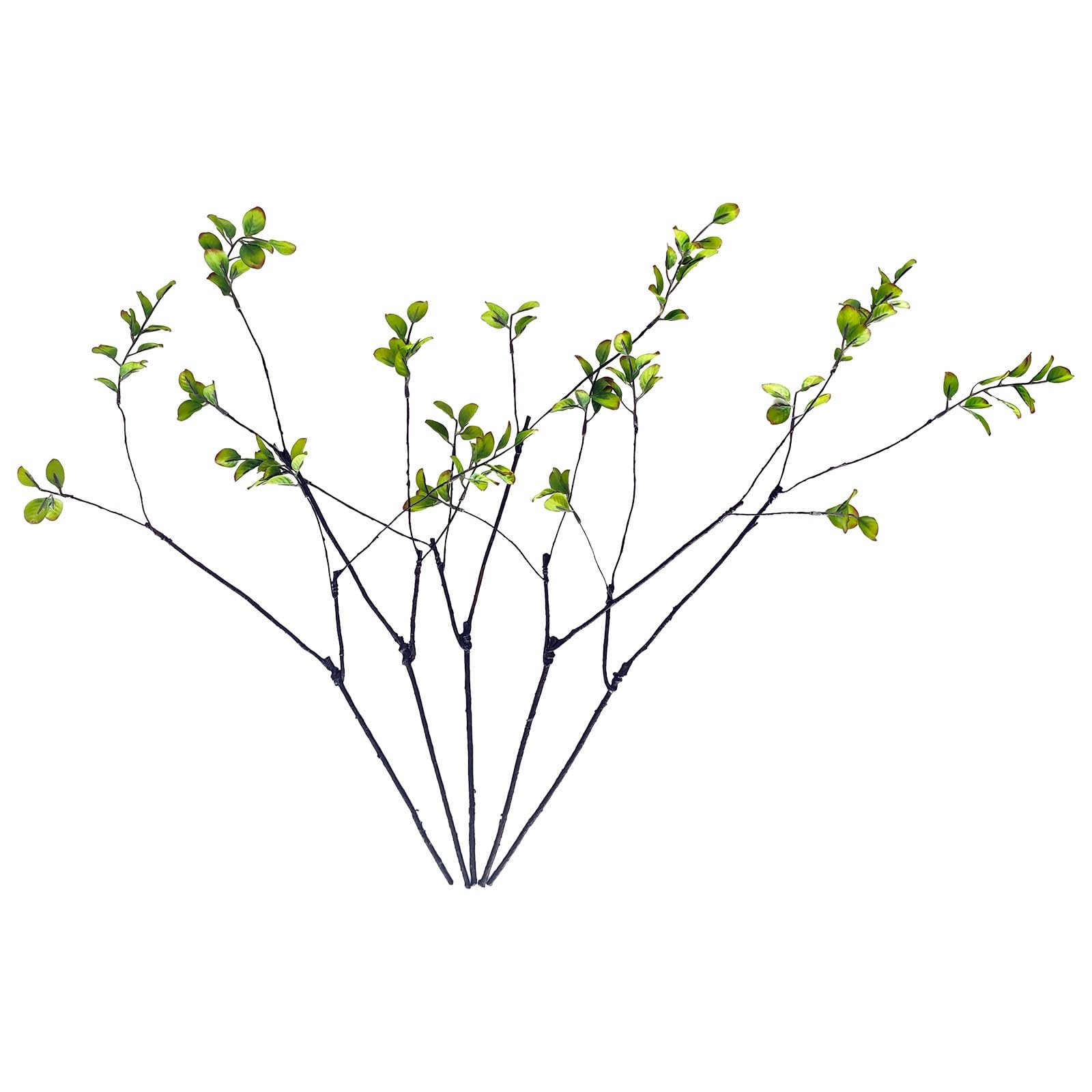 5 Pcs 22 Inches Greenery Stems for Vase, Faux Eucalyptus | Olive| Ficus Branc…