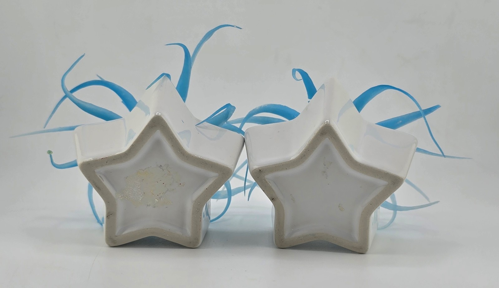 2 Faux Succulent Blue Tillandsia In Small Star Shaped Ceramic Pots 1 Damaged
