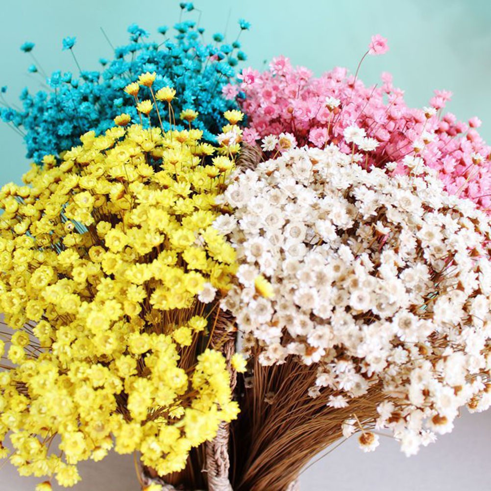 100Pcs Handmade Small Star Flower Dried Flowers Mini Daisy Yellow Floral Display
