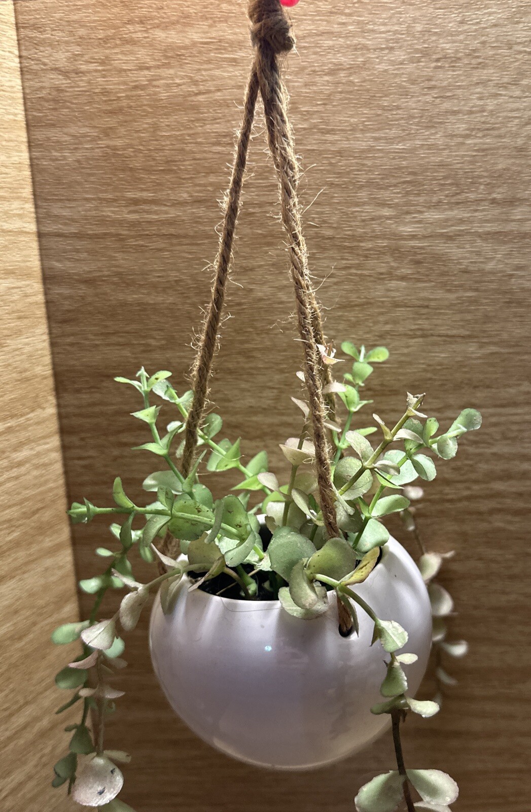 Artificial Faux Plant Hanging White Pot Succulent Green Leaf decor Small Planter