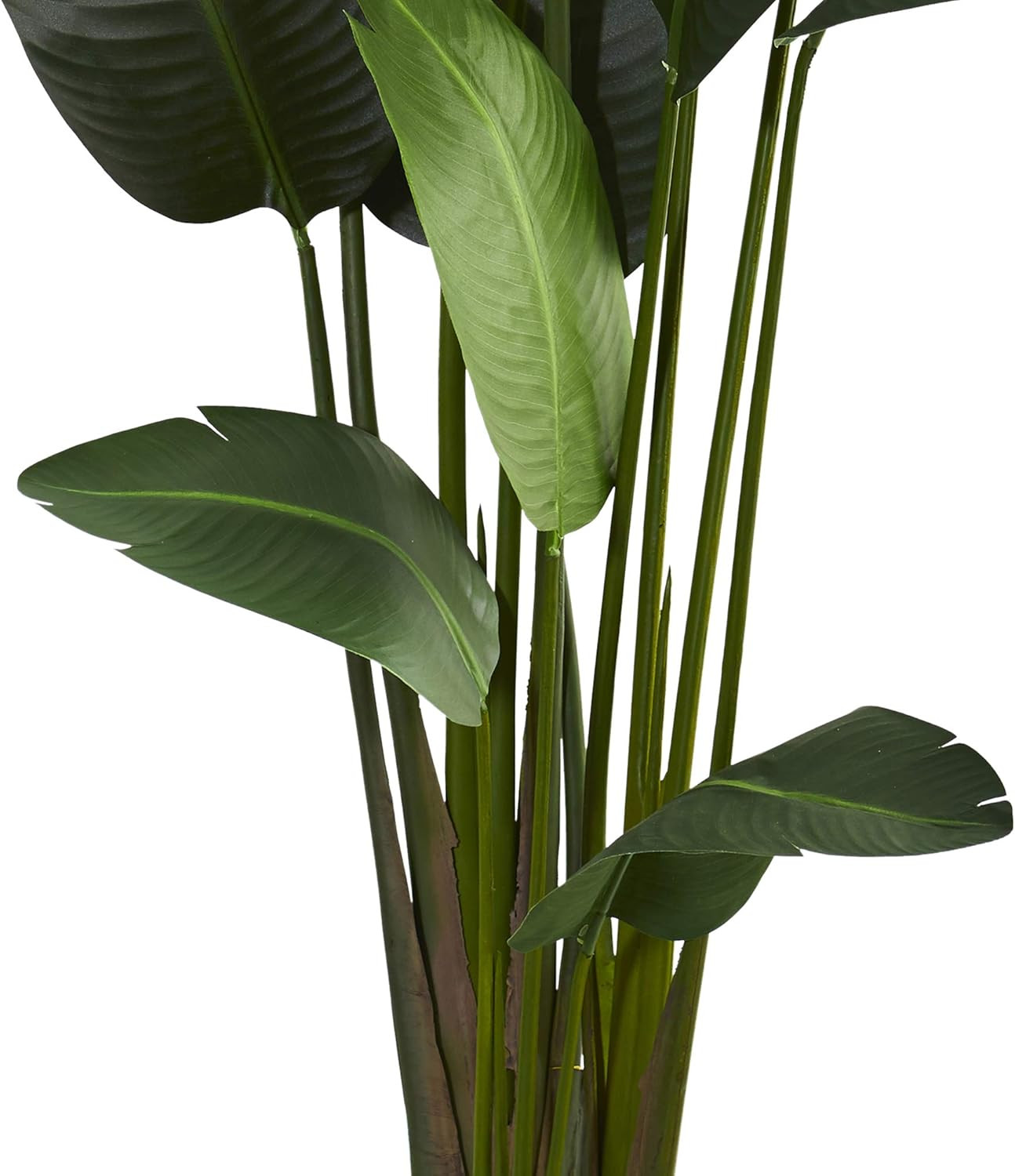 7ft Travelers Palm Artificial Silk Tree – Lush Green Decor for Home or Office